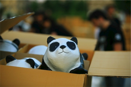 1600-Pandas--23-