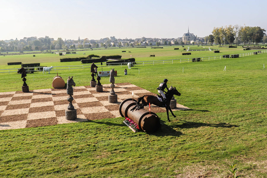 mondial du lion d'angers obstacle échec