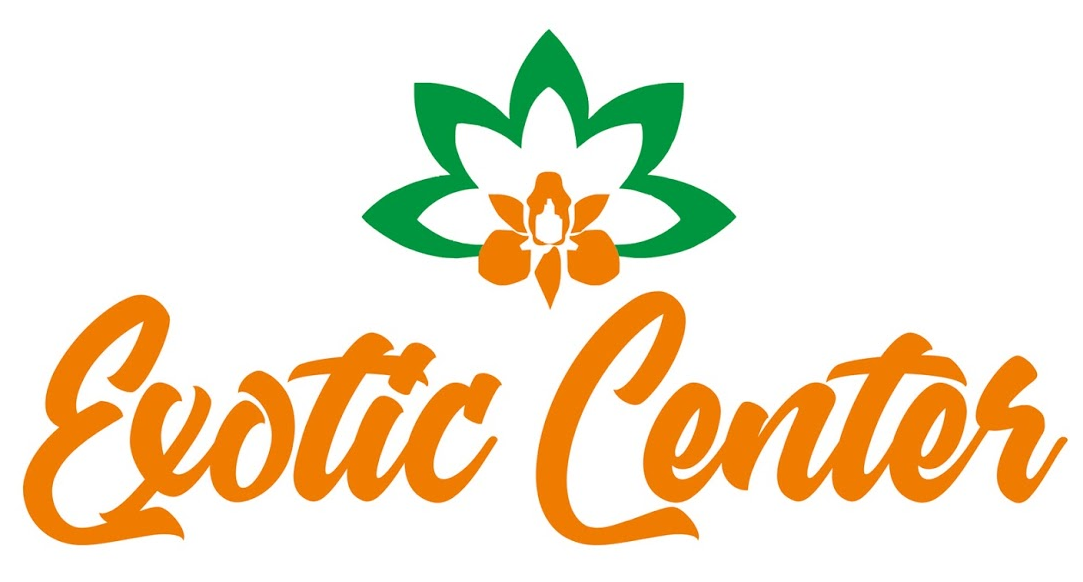 exotic center a angers