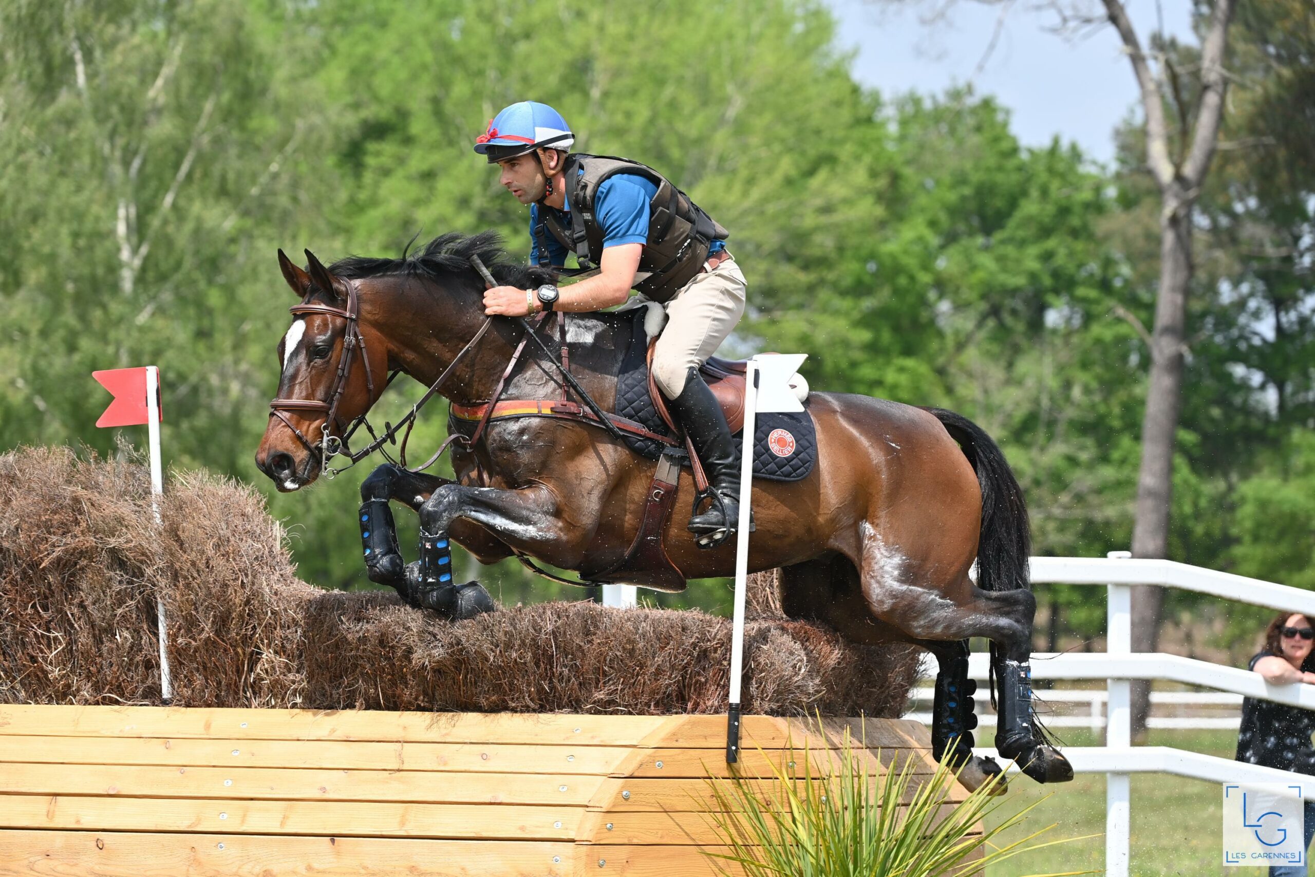 saumur complet-astier nicolas-alertamalib'or