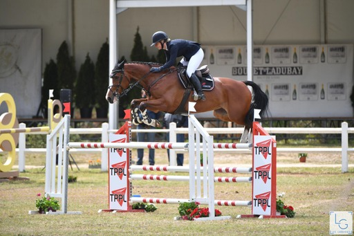 saumur complet-julia krajewski-amande de b'neville